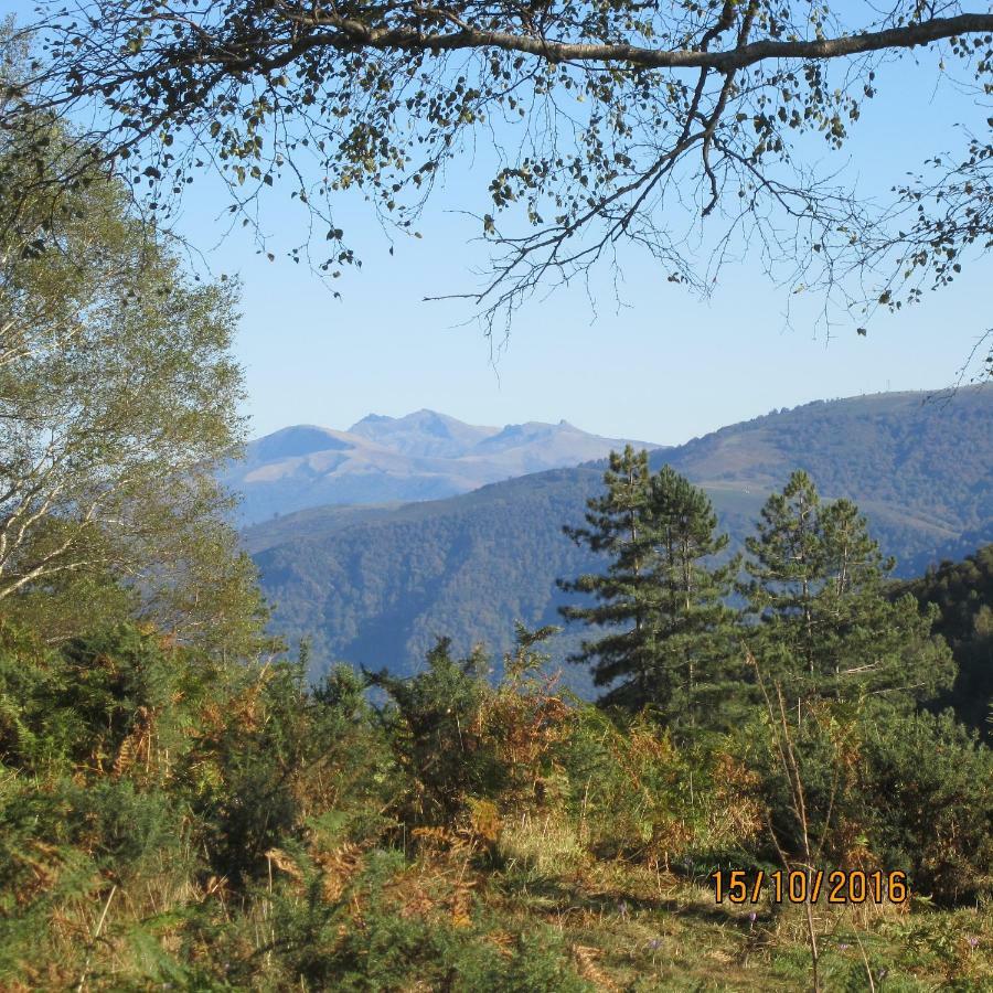 Les Chalets D'Alzen Bagian luar foto